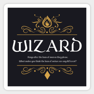 RPG Wizard Wizard Dungeons Crawler and Dragons Slayer Magnet